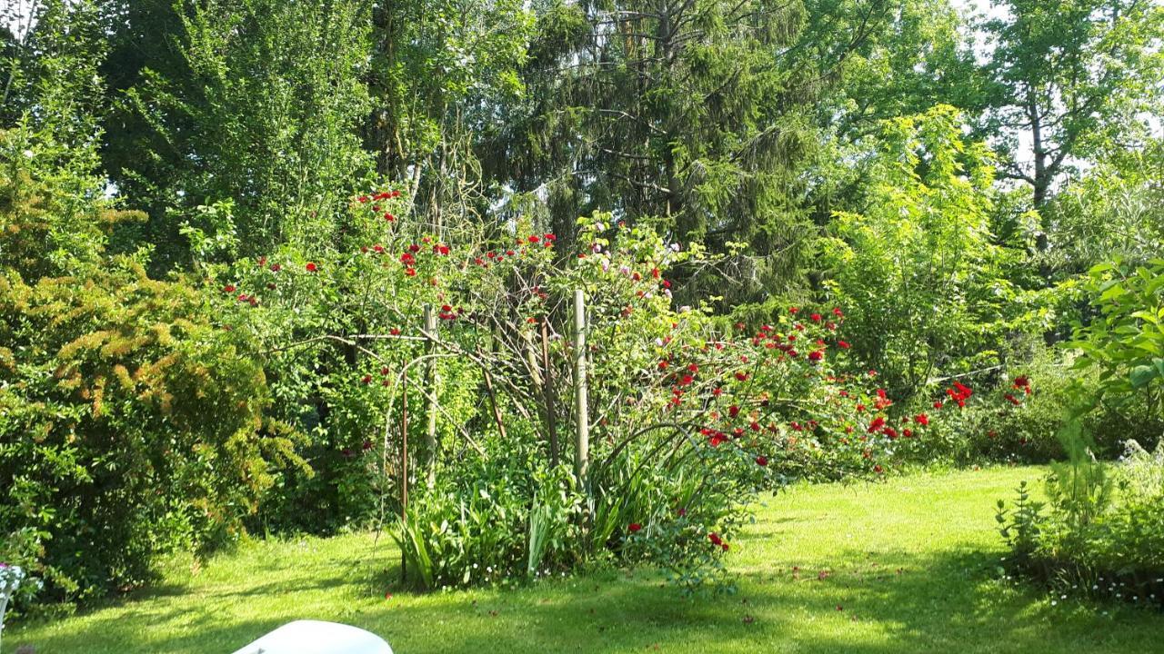 Bed and Breakfast Asinus 32 Viozan Exterior foto